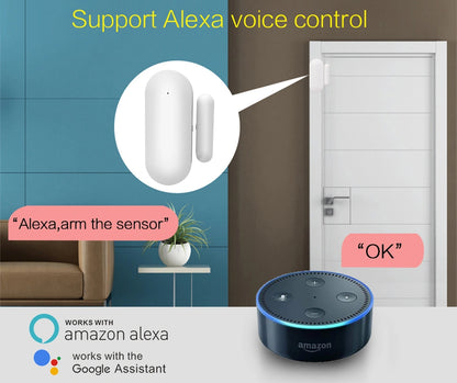 T569 WiFi Door/Window Sensor – Smart 2.4GHz Magnetic Contact Sensor (Tuya/Smart Life)
